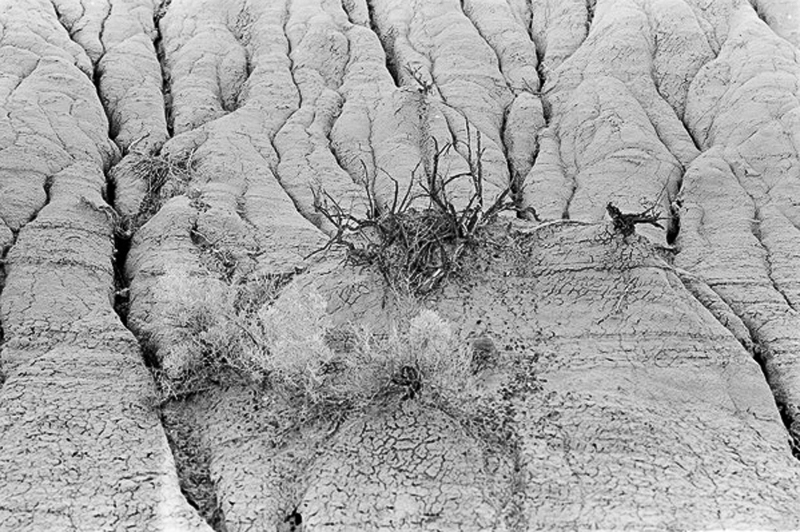 Fred Braakman Erosion